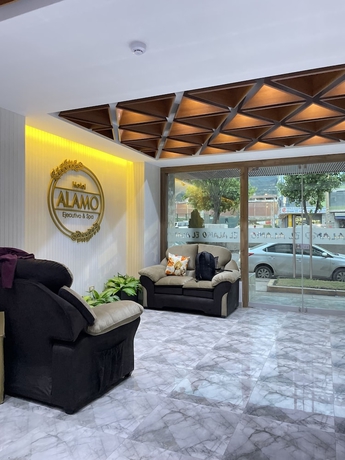 Imagen de los interiores del Hotel HOTEL EL ALAMO EJECUTIVO and SPA. Foto 16