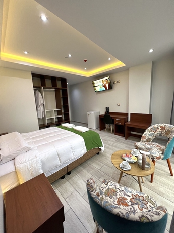 Imagen de la habitación del Hotel HOTEL EL ALAMO EJECUTIVO and SPA. Foto 11