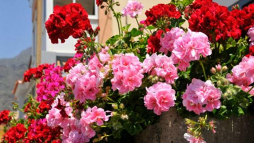 Imagen general del Hotel HOTEL FLORIDA. Foto 31