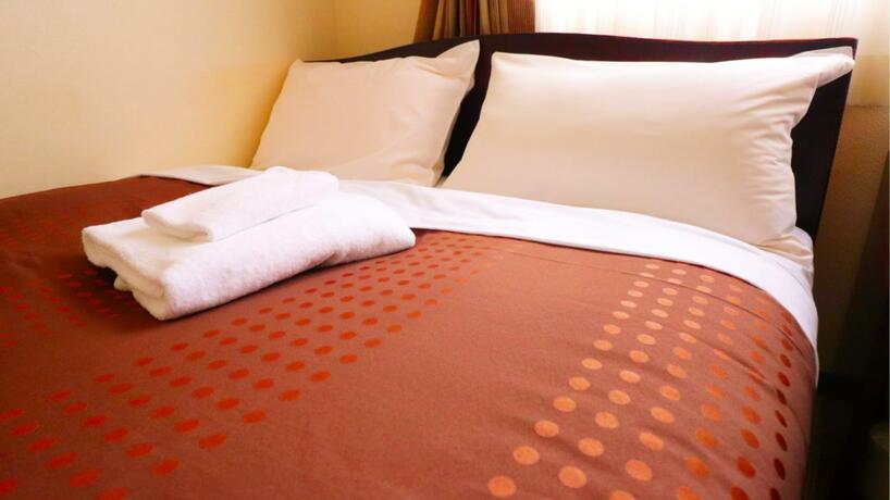 Imagen general del Hotel HOTEL FRONTIER YONAGO (ホテルフロンティア米子). Foto 2