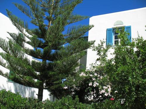 Imagen general del Hotel HOTEL KAPARI. Foto 1