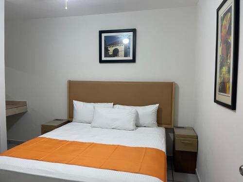 Imagen general del Hotel HOTEL LAS PALMAS. Foto 12