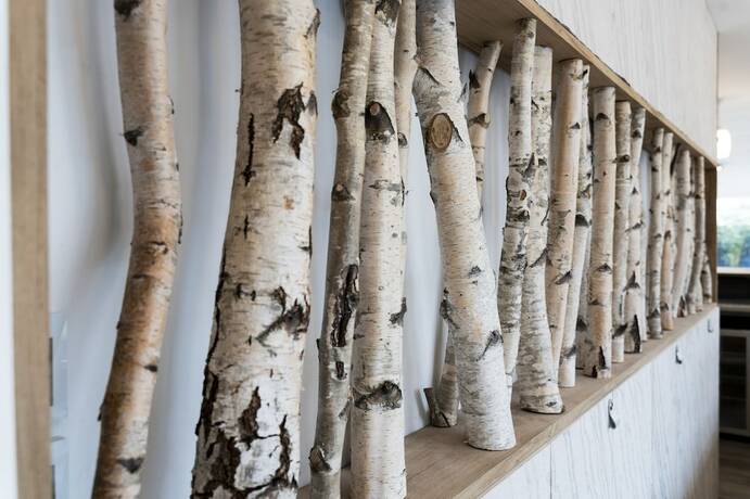 Imagen general del Hotel HOTEL LE 25. Foto 4