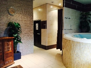 Imagen de la piscina del Hotel HOTEL LES JASSES DE CAMARGUE. Foto 6