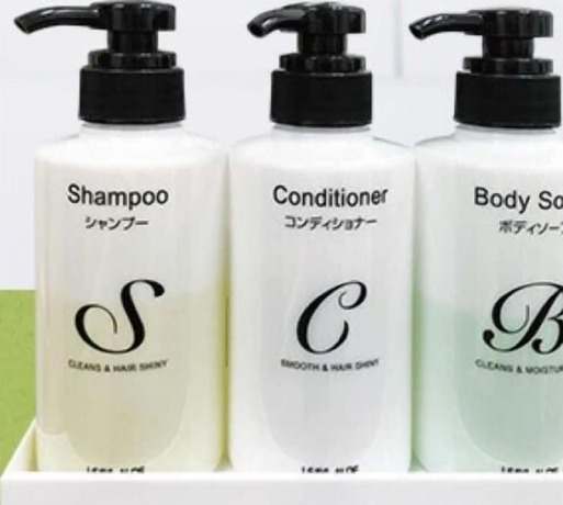 Imagen de la habitación del Hotel HOTEL LiVEMAX Nagoya Taikodori-Guchi. Foto 15