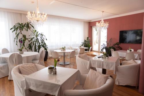 Imagen general del Hotel HOTEL MARIA, Gramatneusiedl. Foto 5