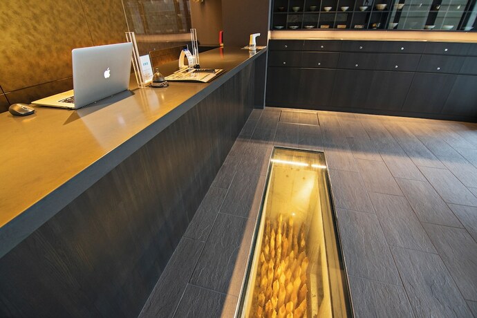 Imagen general del Hotel HOTEL NINJA BLACK. Foto 7