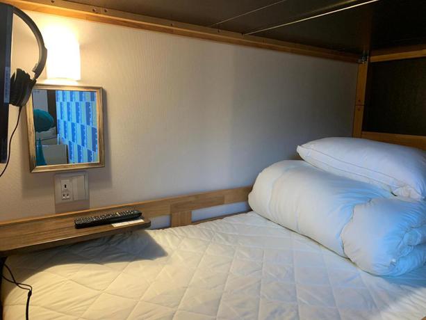 Imagen de la habitación del Hotel HOTEL OWL TOKYO Shinbashi. Foto 9