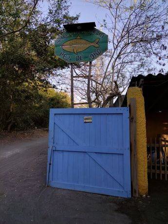 Imagen general del Hotel HOTEL PEZ DE ORO. Foto 5