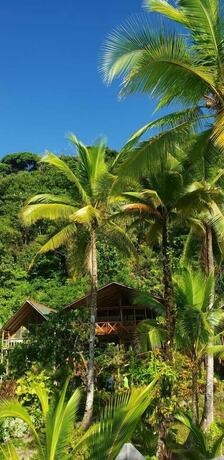 Imagen general del Hotel HOTEL PIEDRA PIEDRA LODGE. Foto 7