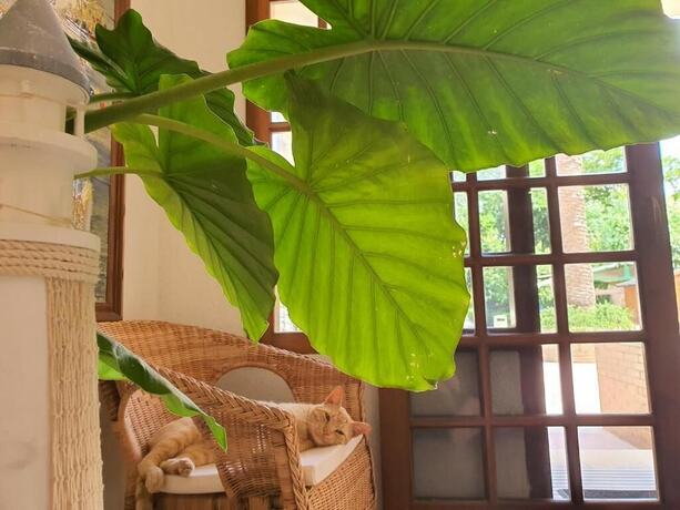 Imagen general del Hotel HOTEL RIOMAR. Foto 7