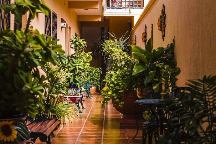 Imagen general del Hotel HOTEL ROSALIA. Foto 5