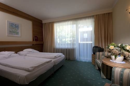 Imagen general del Hotel HOTEL SEEFELDERHOF. Foto 15