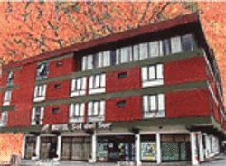 Imagen general del Hotel HOTEL SOL DEL SUR. Foto 1