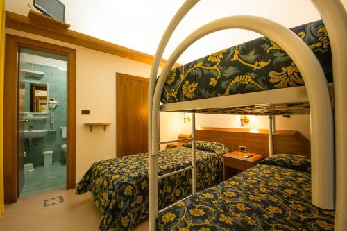 Imagen general del Hotel HOTEL SOLE. Foto 13