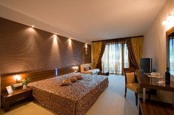 Imagen de la piscina del Hotel HOTEL SPA PERSENK. Foto 5