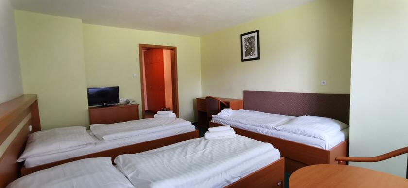 Imagen general del Hotel HOTEL SVRATKA. Foto 5