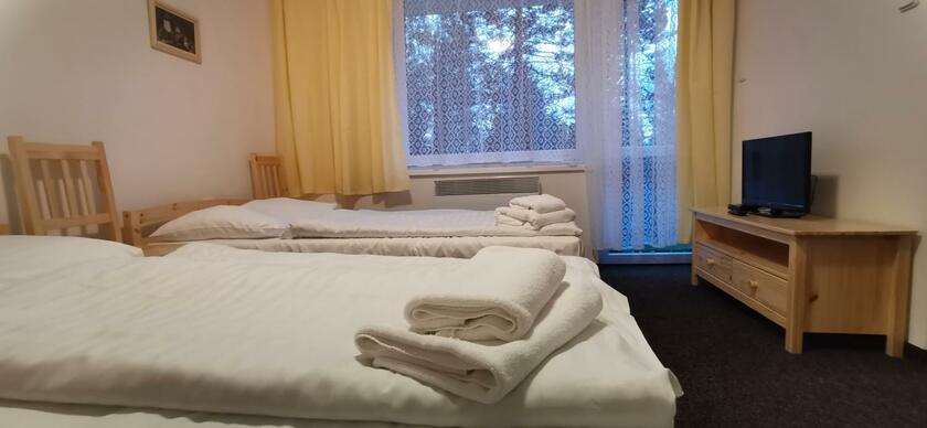Imagen general del Hotel HOTEL SVRATKA. Foto 13