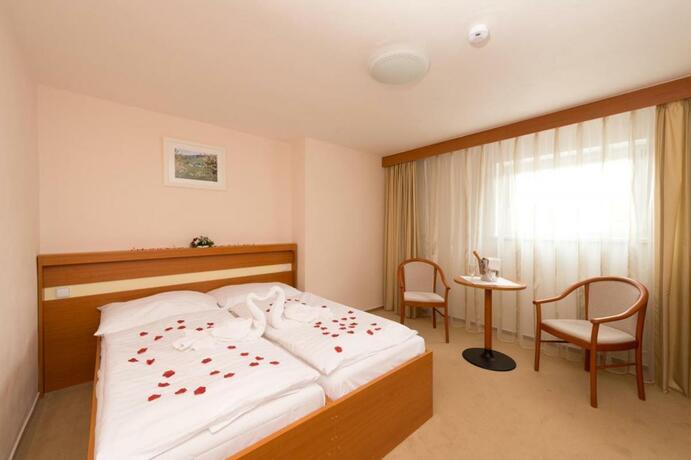 Imagen general del Hotel HOTEL SVRATKA. Foto 18