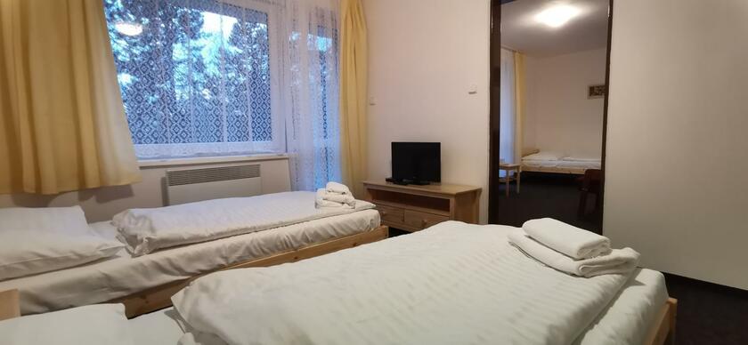 Imagen general del Hotel HOTEL SVRATKA. Foto 22