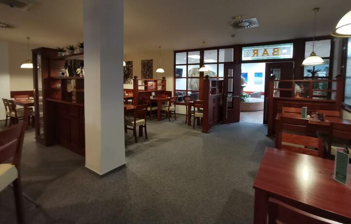 Imagen general del Hotel HOTEL SVRATKA. Foto 24