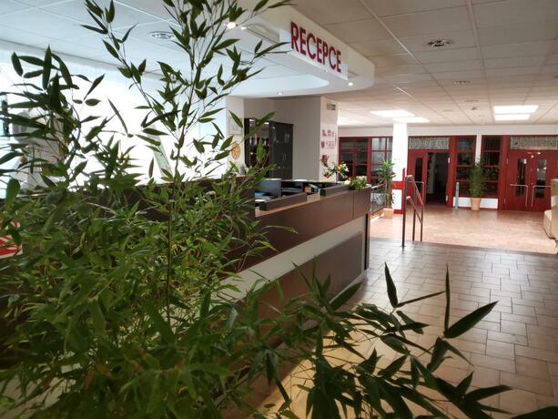 Imagen general del Hotel HOTEL SVRATKA. Foto 40