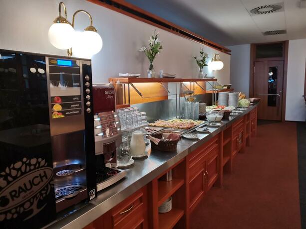 Imagen general del Hotel HOTEL SVRATKA. Foto 44