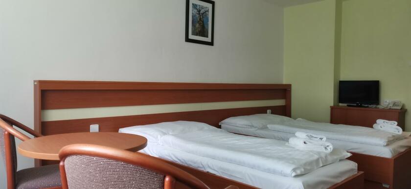 Imagen general del Hotel HOTEL SVRATKA. Foto 47