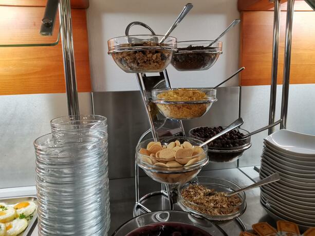 Imagen general del Hotel HOTEL SVRATKA. Foto 48