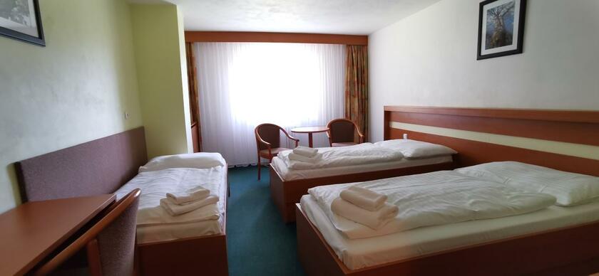 Imagen general del Hotel HOTEL SVRATKA. Foto 50