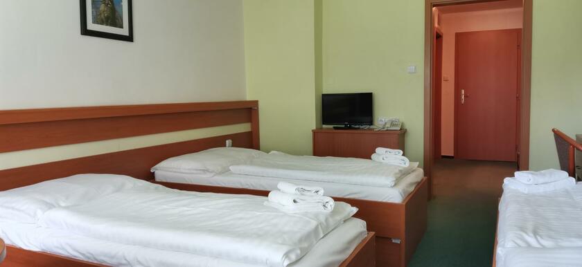 Imagen general del Hotel HOTEL SVRATKA. Foto 52