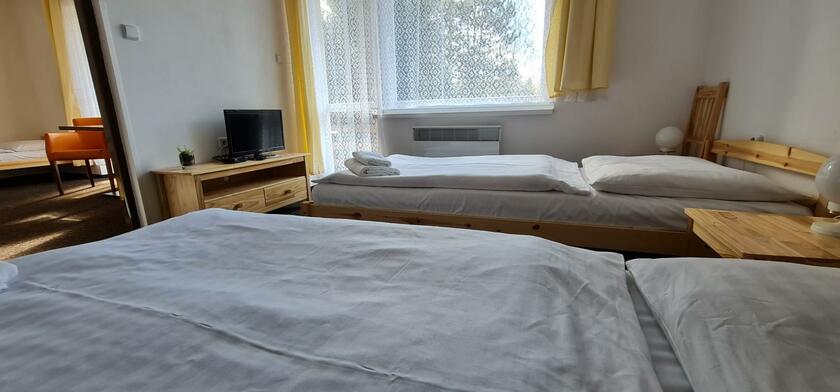 Imagen general del Hotel HOTEL SVRATKA. Foto 83