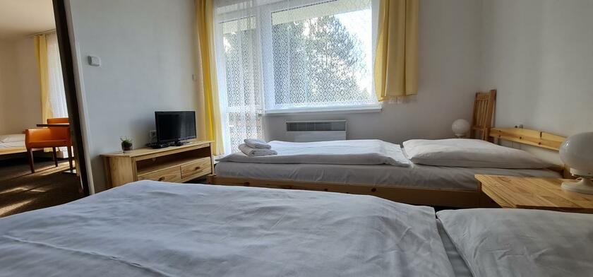 Imagen general del Hotel HOTEL SVRATKA. Foto 99