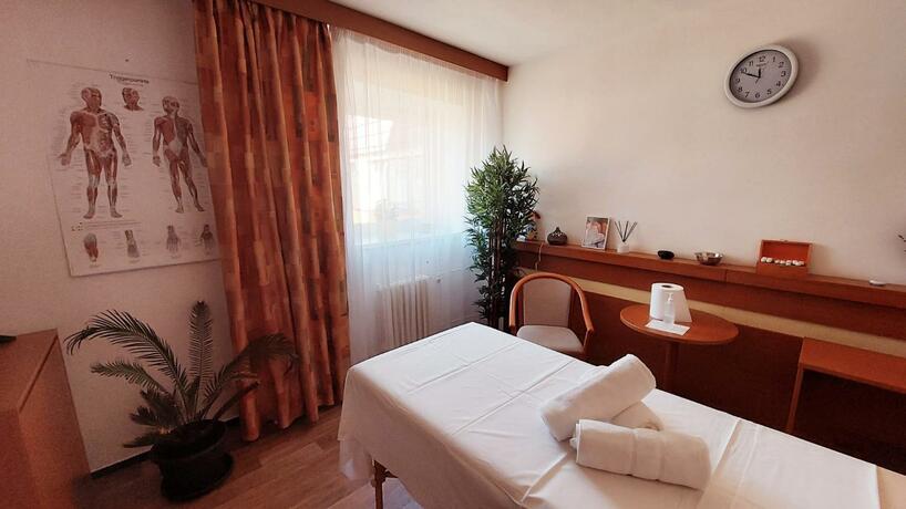 Imagen general del Hotel HOTEL SVRATKA. Foto 107