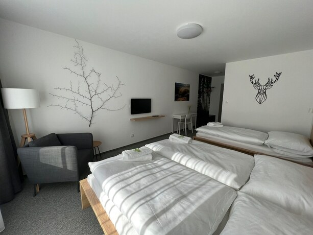 Imagen general del Hotel HOTEL VARNSDORF. Foto 1