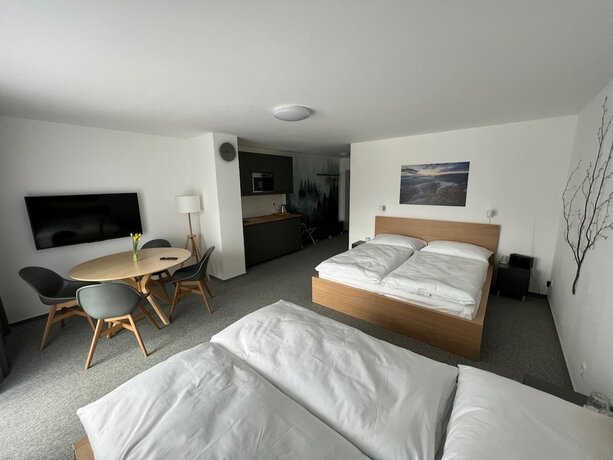 Imagen general del Hotel HOTEL VARNSDORF. Foto 6