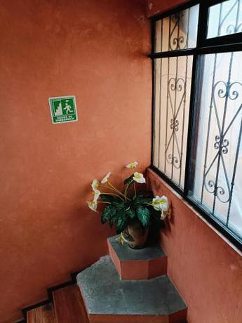 Imagen general del Hotel HOTEL VIRREYNAL. Foto 7