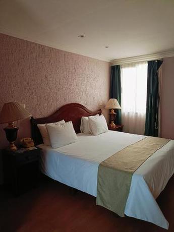 Imagen general del Hotel HOTEL VIRREYNAL. Foto 10