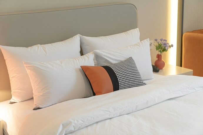 Imagen general del Hotel HOUND HOTEL TURTLE. Foto 2
