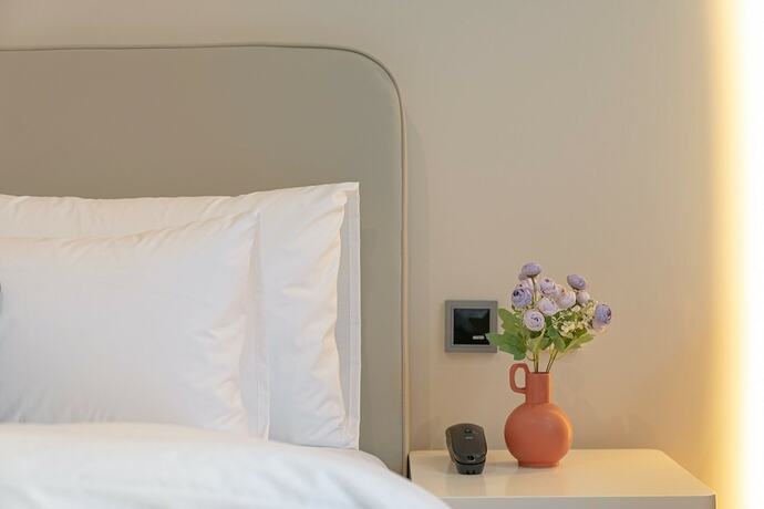 Imagen general del Hotel HOUND HOTEL TURTLE. Foto 3