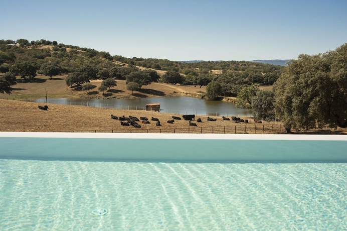 Imagen de la piscina del Hotel H&aacute;bitat Cigue&ntilde;a Negra. Foto 15