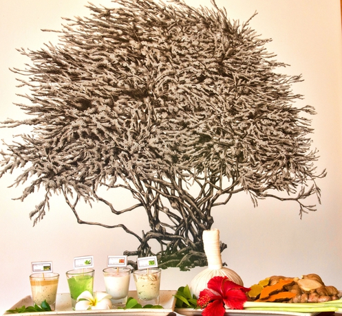 Imagen de la piscina del Hotel Haadtien Beach Resort. Foto 13