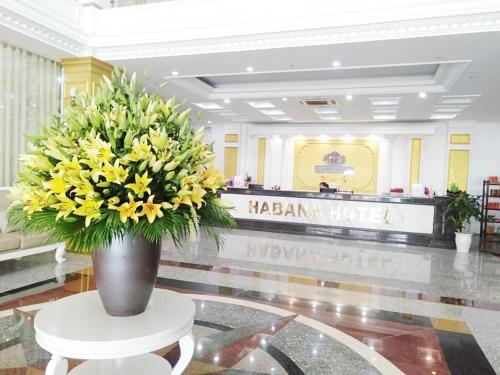 Imagen general del Hotel Habana Thai Nguyen. Foto 8