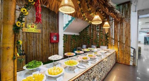 Imagen general del Hotel Habana Thai Nguyen. Foto 18