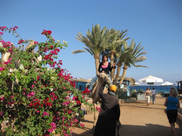 Imagen de los exteriores del Hotel Habiba Beach Lodge. Foto 6