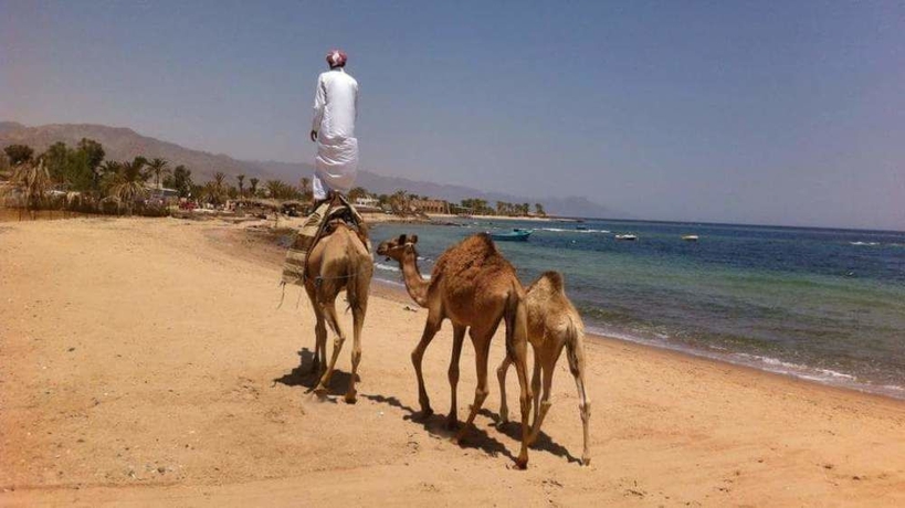 Imagen de los exteriores del Hotel Habiba Beach Lodge. Foto 8