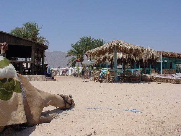 Imagen de los exteriores del Hotel Habiba Beach Lodge. Foto 11