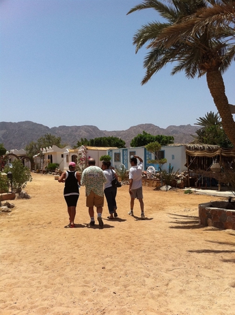 Imagen de los exteriores del Hotel Habiba Beach Lodge. Foto 14