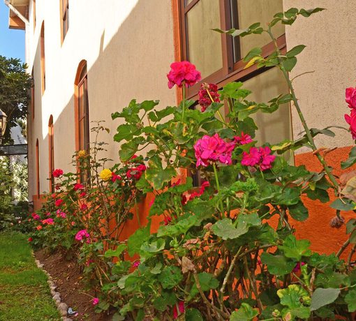 Imagen de los exteriores del Hotel Hacienda Casagrande. Foto 14