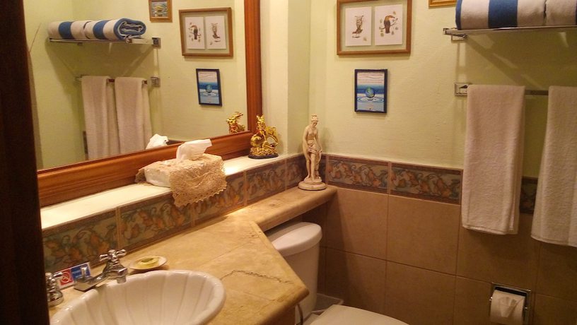 Imagen de la habitación del Hotel Hacienda Flamingos. Foto 16